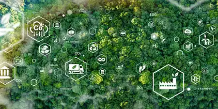 Looking down from the sky over a forest full of trees with sustainability icons floating all around in different sizes and opacity.