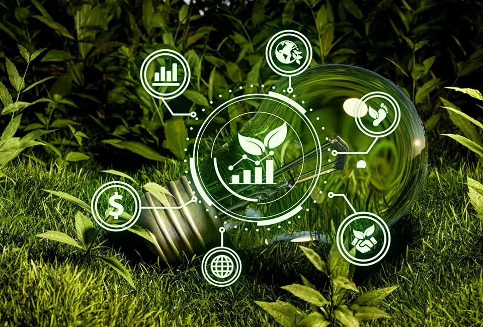 All green image with a green lightbulb in grass surrounded by plants and floating sustainability icons.